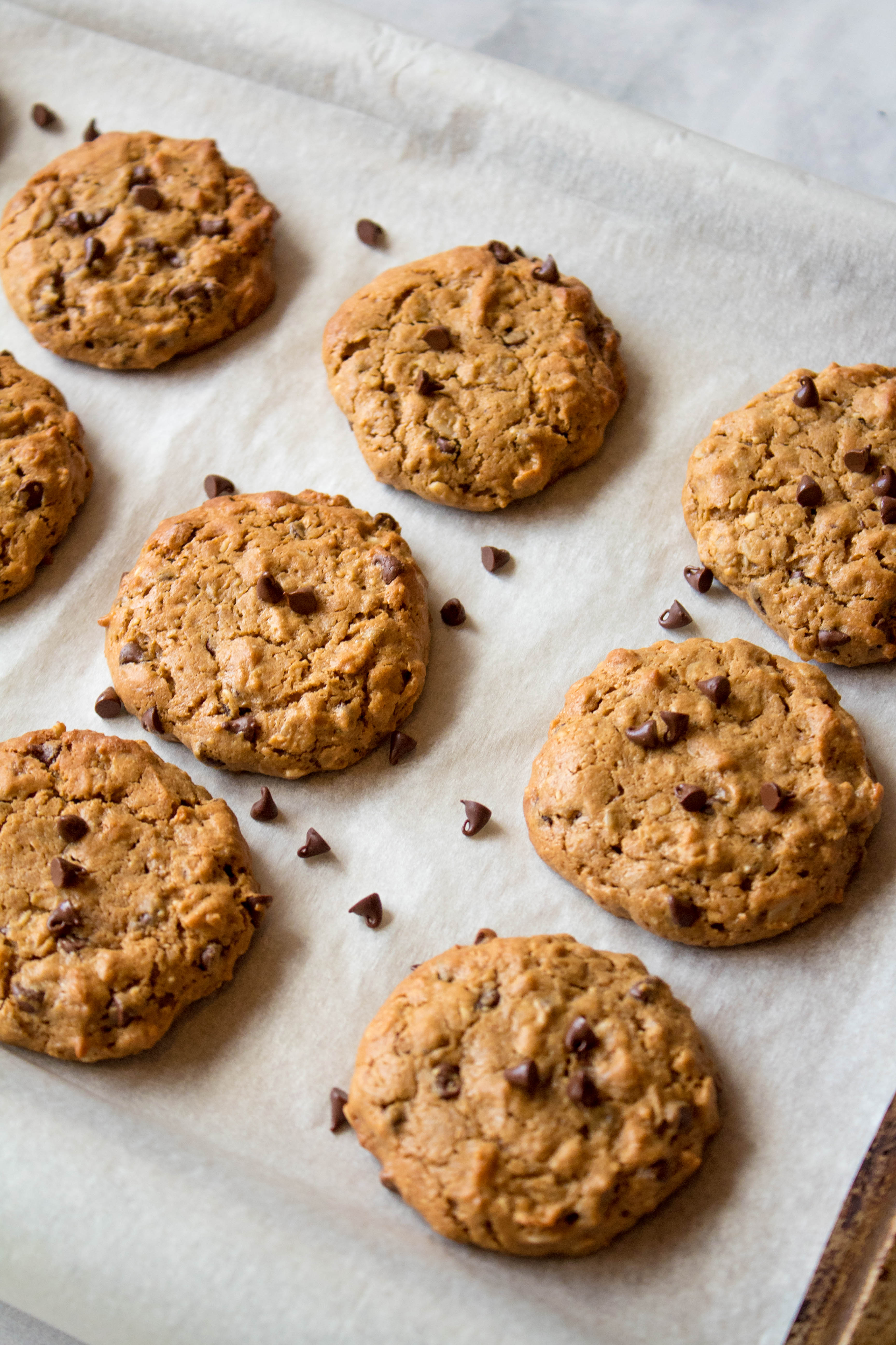 Chocolate Peanut Butter Cookies