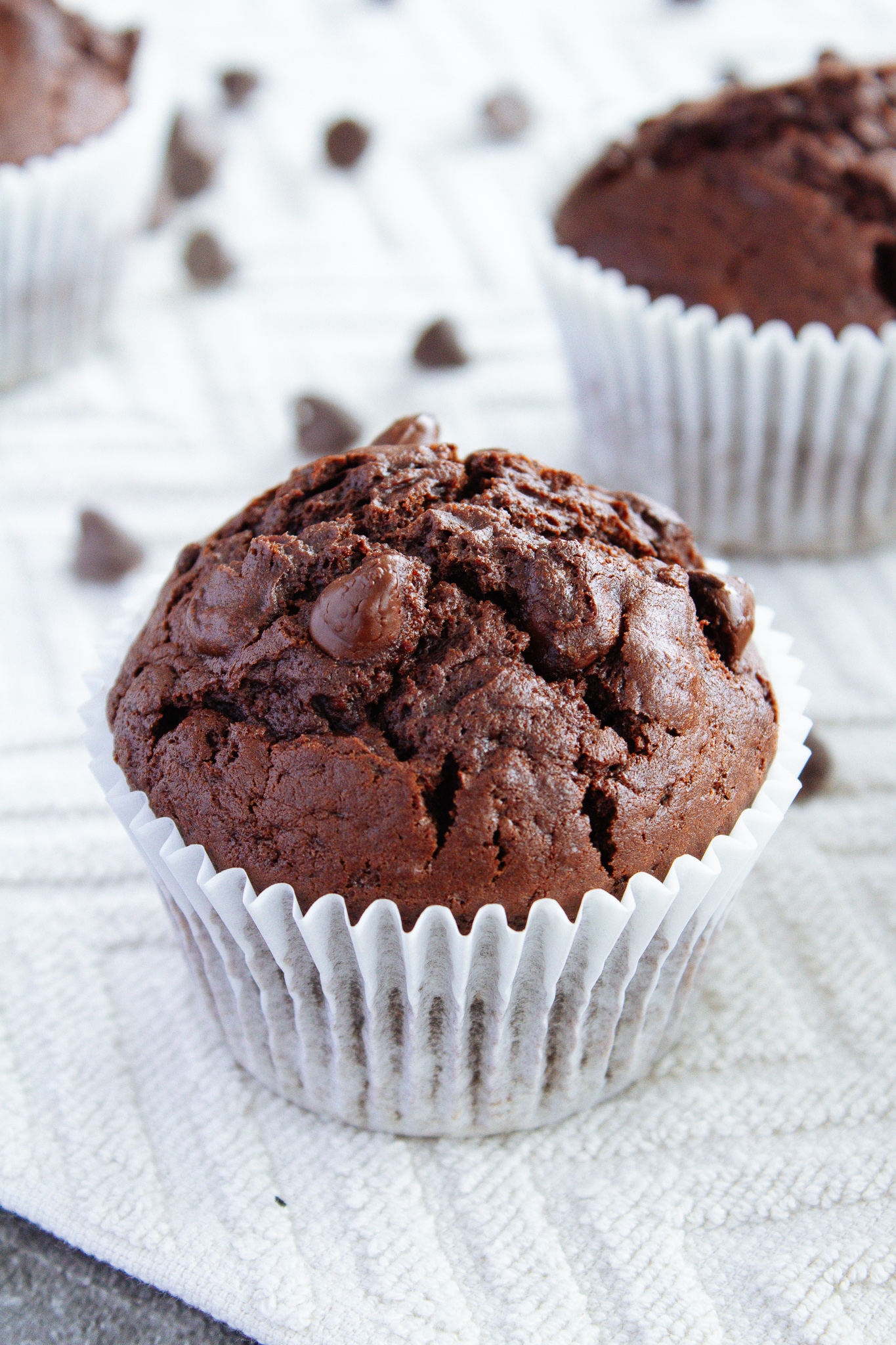 Double Chocolate Muffins